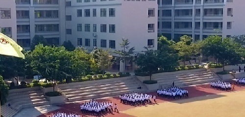 ѧȫ