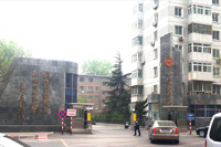 չʾ