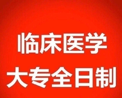 ĳҽҩУȫƴרȫ