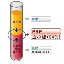PRPѧϰ2021