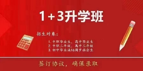 1+3ѵĿ
